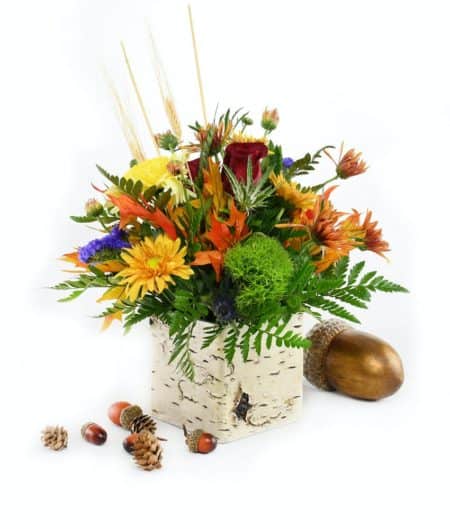 Rustic warmth flower arrangement in a white birch box with seasonal fall flowers and greenery.