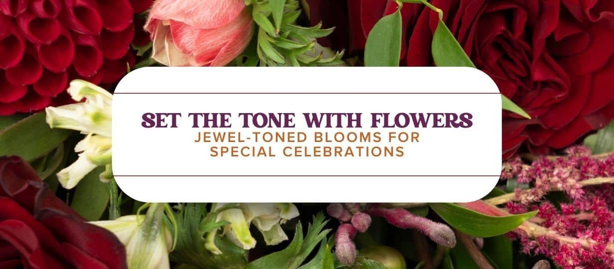 UNCOVERING EVERYTHING YOU NEED TO KNOW ABOUT JEWELTONED FLOWERS